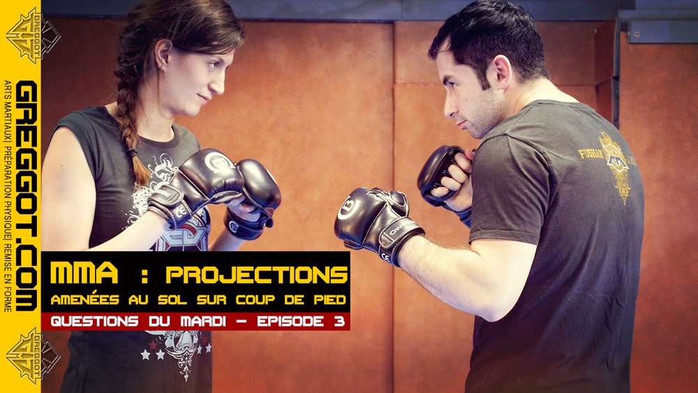 MMA-projections-coup-de-pied