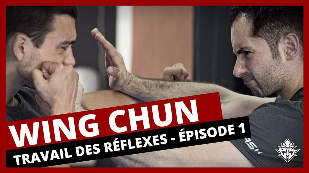 Wing-Chun-Travail-Reflexes