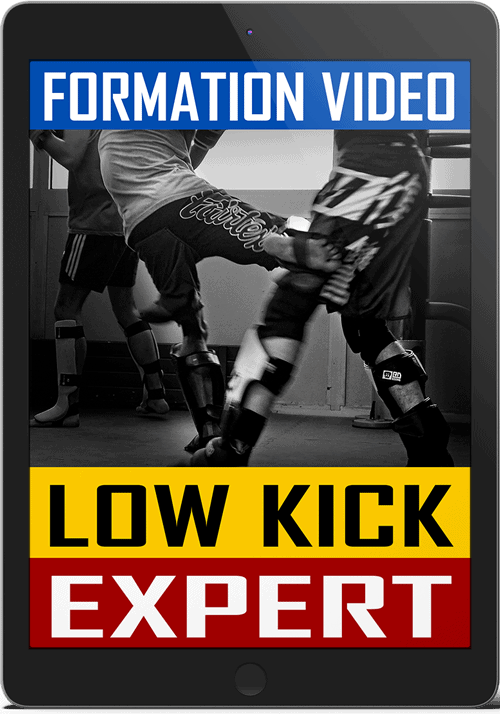 Cover-Low-Kick-Expert-Tablet-V2-500px